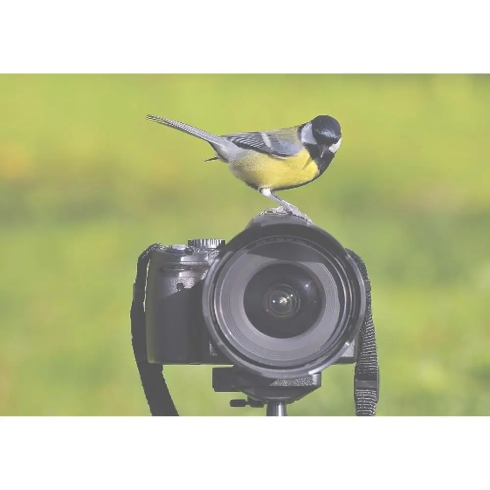 EIA (Environmental Impact Assessment)