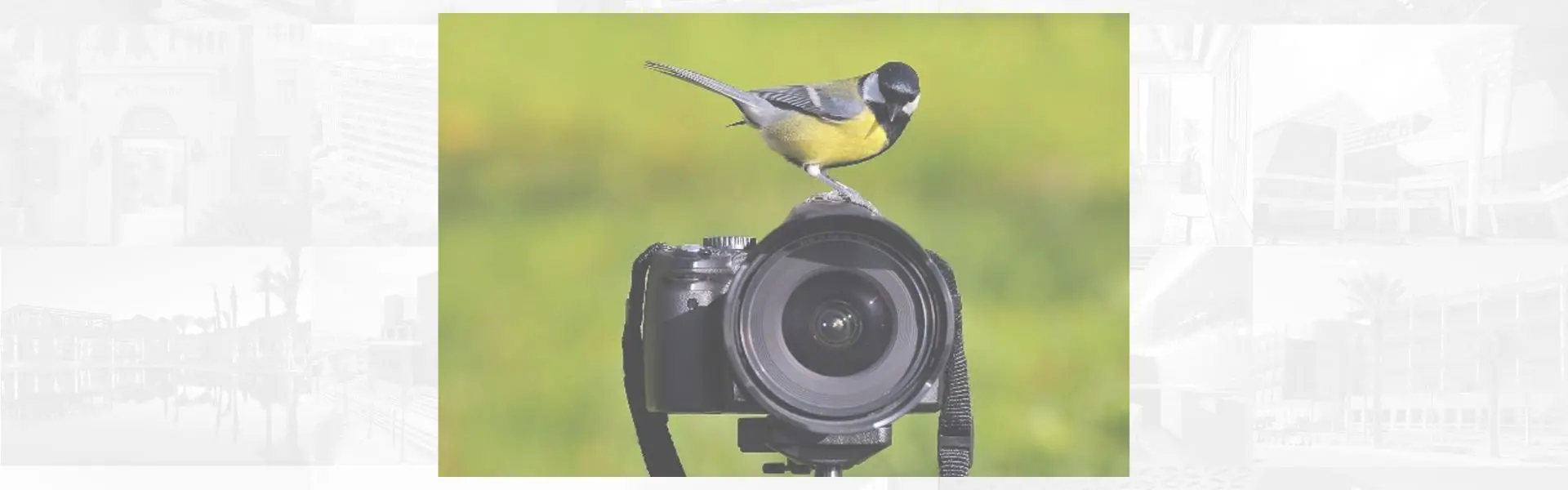 EIA (Environmental Impact Assessment)